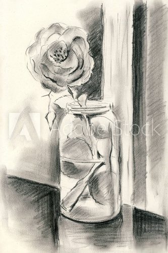 Fototapeta A single rose in a vase - Charcoal drawing