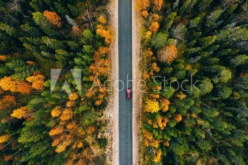 Fototapeta Aerial view of rural road in yellow and orange autumn forest in rural Finland.
