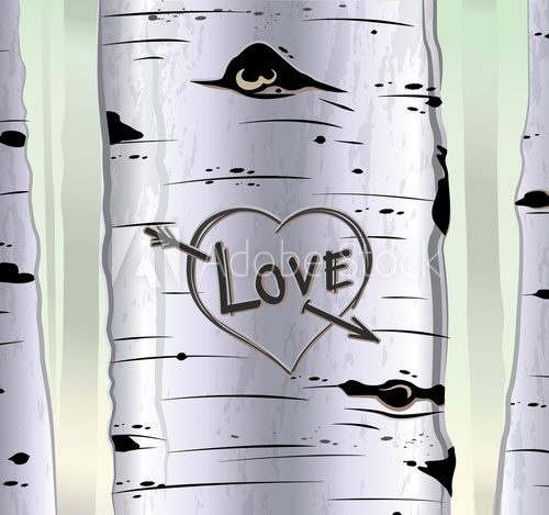 Fototapeta Birch tree card with heart and carved text love