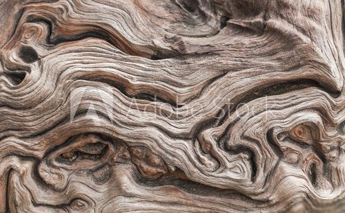 Fototapeta close up old aged wooden texture abstract background