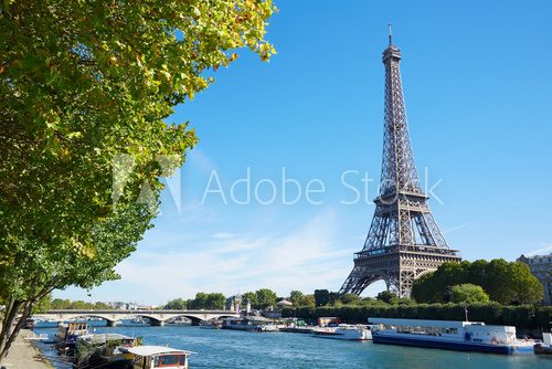 Fototapeta Eiffel tower and Seine river view with green tree branches, sunny