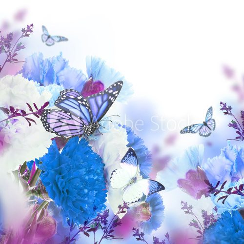 Fototapeta Floral background of roses and butterfly, wild flowers