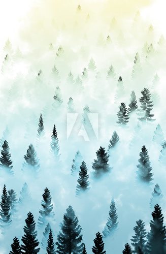 Fototapeta misty forest landscape