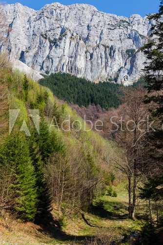 Fototapeta Prince's stone mountains and natural erosion called Cerdacul Sta