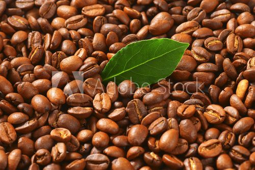 Fototapeta Roasted coffee beans