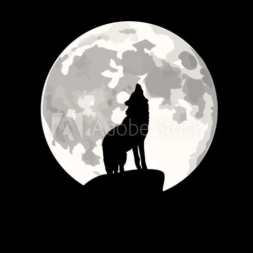 Fototapeta Square illustration of wolf howling at moon.