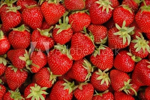Fototapeta strawberries