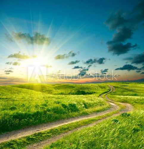 Fototapeta Summer landscape with green grass, road and dramatic sky