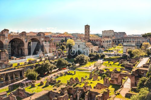 Fototapeta The Roman Forum in Rome, Italy