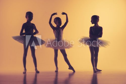 Fototapeta Three little ballerinas in dance studio