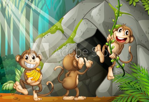 Fototapeta Three monkeys living in the cave