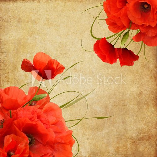 Fototapeta Vintage poppies composition with space for text