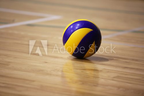 Fototapeta Volleyball ball on the floor