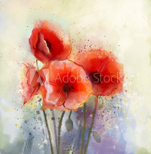 Fototapeta Water color red poppy flowers painting.