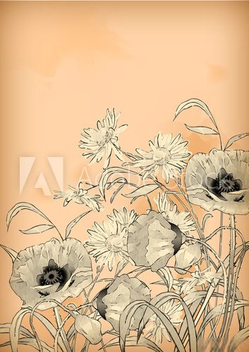 Fototapeta Watercolor Pencil Hand Drawing Flowers