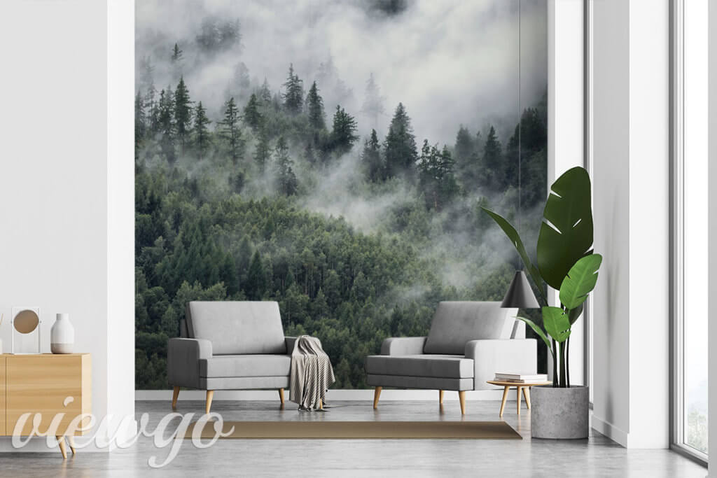 Fototapeta "Poranna mgła" - Fototapety z motywem mglistego lasu