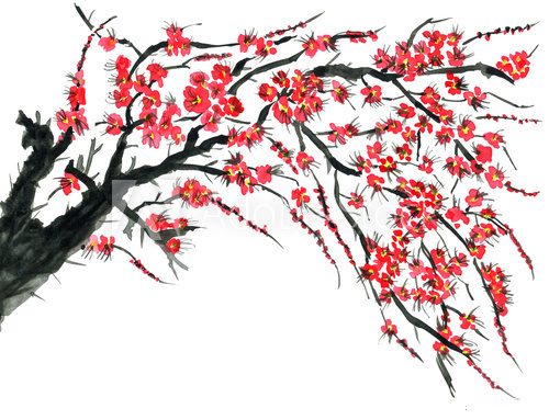 Fototapeta A branch of a blossoming tree. Pink flowers of sakura . Watercolor and ink illustration in style sumi-e, u-sin. Oriental traditional painting.  Isolated on white background.