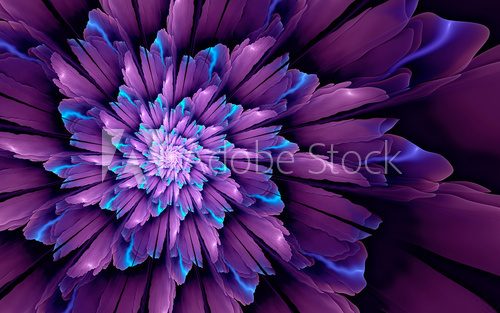 Fototapeta Abstract fractal background, glossy violet-cyan flower