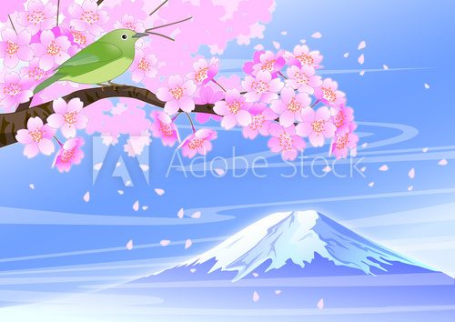 Fototapeta æ¡ããã