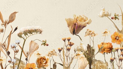 Fototapeta Aesthetic autumn flower computer wallpaper, seasonal botanical background