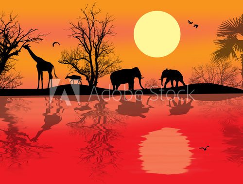 Fototapeta African safari theme
