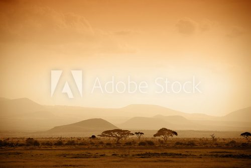 Fototapeta african savannah at sunrise