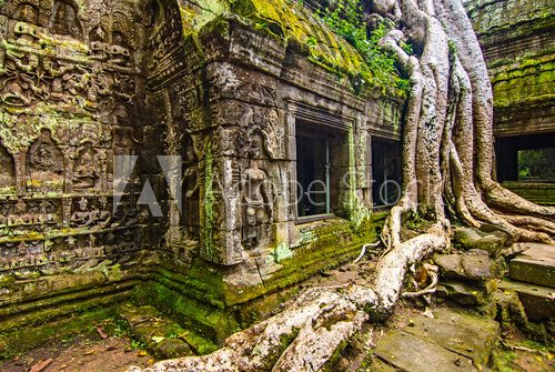 Fototapeta Angkor