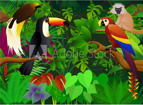 Fototapeta animal in the wild