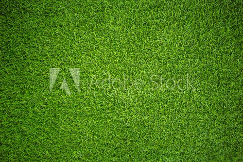 Fototapeta artificial grass