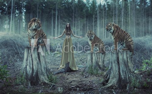 Fototapeta Attractive female trainer with the tigers