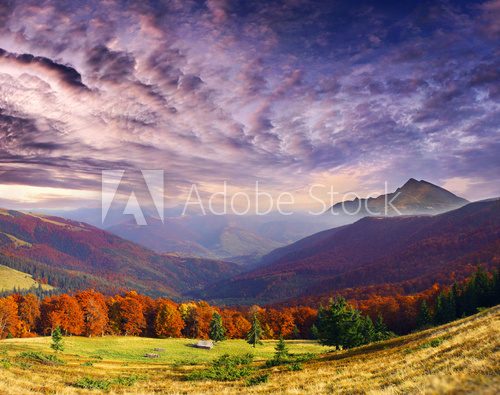 Fototapeta autumn in mountains