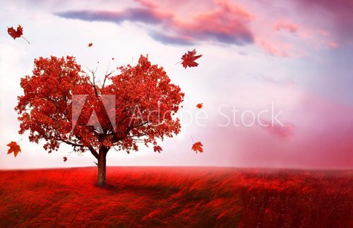 Fototapeta Autumn landscape  with heart shape tree