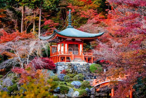 Fototapeta Autumn season,Daigoji Temple Japan
