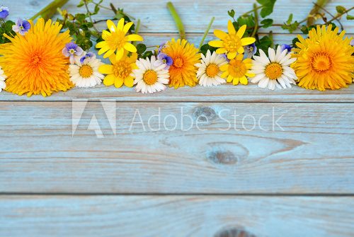 Fototapeta Background of grey blue wood with border of  field flowers