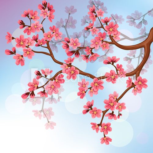 Fototapeta Background with sakura blossoms