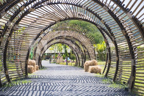 Fototapeta bamboo tunnel structure in garden