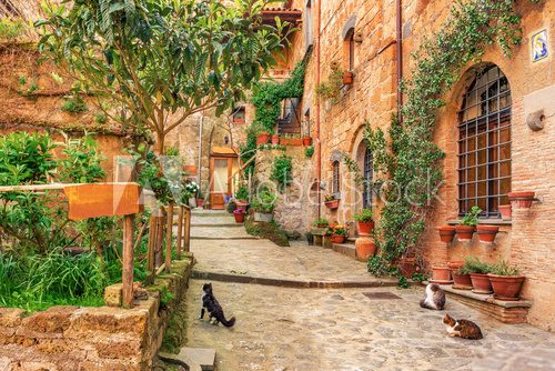 Fototapeta Beautiful alley in old town Tuscany