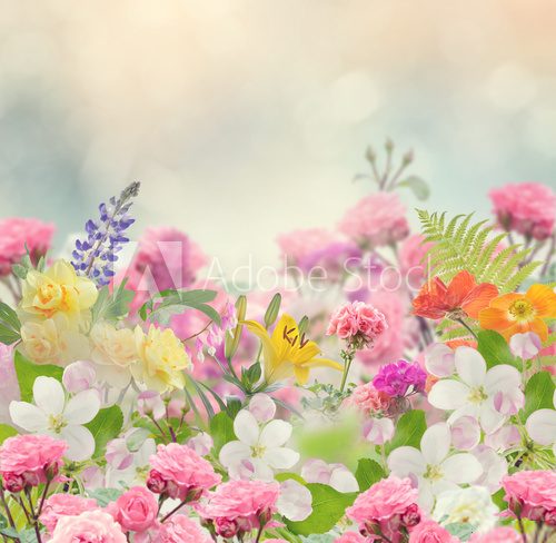 Fototapeta Beautiful Flowers Background
