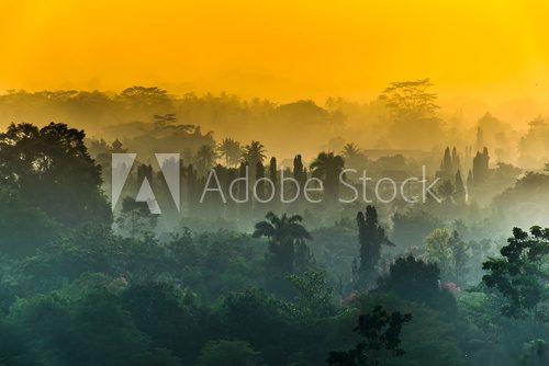 Fototapeta Beautiful mysterious foggy morning from Buddhist temple complex Borobudur, Yogyakarta, Jawa in Indonesia