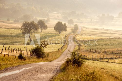 Fototapeta Beautiful Rural Village Landscape with Road at Morning