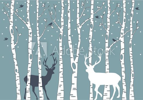 Fototapeta birch trees with deer, vector background