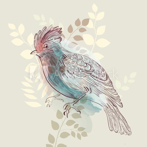 Fototapeta  Bird in watercolor vintage style
