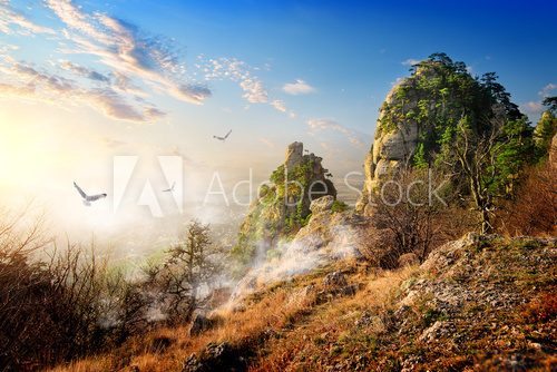 Fototapeta Birds over cliffs