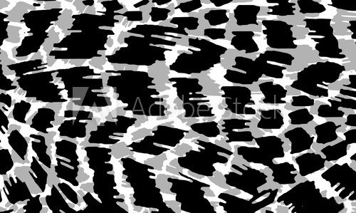 Fototapeta Black and white animal skin texture