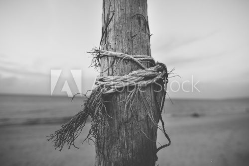 Fototapeta Black and white close up of pole in the beach with rope twisted