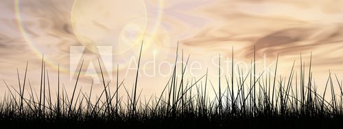 Fototapeta Black grass over sky sunset banner