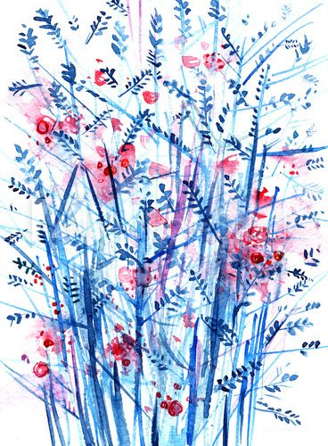 Fototapeta blue bush with red berries, abstract watercolor background