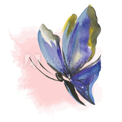 Fototapeta blue butterfly
