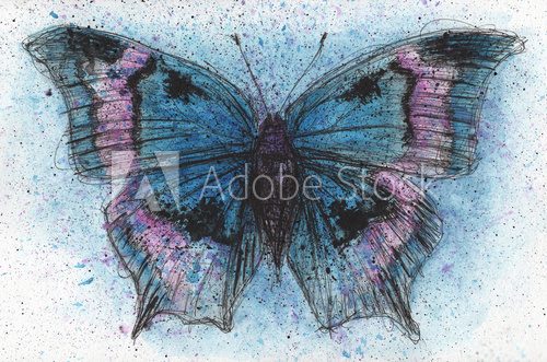 Fototapeta Blue Purple Butterfly