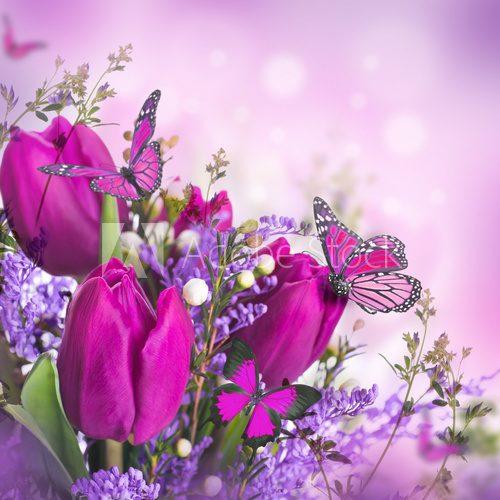 Fototapeta Blue tulips with mimosa and butterfly